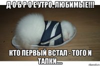 д о б р о е утро, любимые!!! кто первый встал - того и тапки....