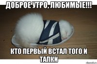 доброе утро, любимые!!! кто первый встал того и тапки