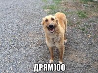  дрям)00