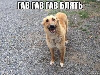 гав гав гав блять 