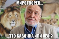 миротворец... ...это бабочка или жук?