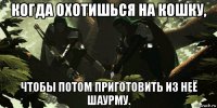 когда охотишься на кошку, чтобы потом приготовить из неё шаурму.
