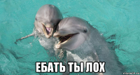  ебать ты лох