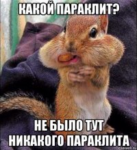 какой параклит? не было тут никакого параклита
