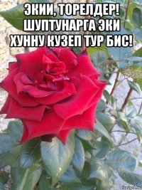 экии, торелдер! шуптунарга эки хунну кузеп тур бис! 
