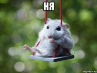 ня 
