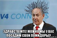  здравствуйте! можно мы у вас посадим свои помидоры?