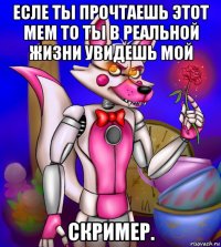 есле ты прочтаешь этот мем то ты в реальной жизни увидешь мой скример.