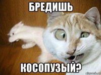 бредишь косопузый?