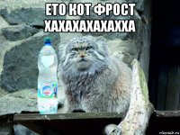 ето кот фрост хахахахахахха 