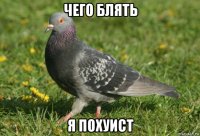 чего блять я похуист
