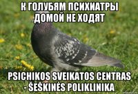 к голубям психиатры домой не ходят psichikos sveikatos centras - šeškinės poliklinika