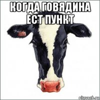 когда говядина ест пункт 