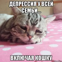 депрессия у всей семьи... включая кошку