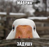 маврик задушу