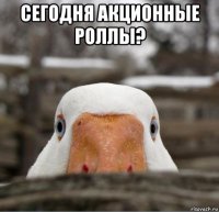 сегодня акционные роллы? 