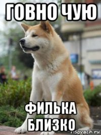 говно чую филька близко