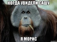 когда увидели сашу я морис