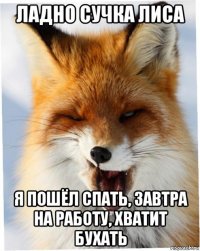ладно сучка лиса я пошёл спать, завтра на работу, хватит бухать