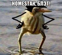 homesтак, блэт! 