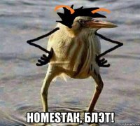 homesтак, блэт!
