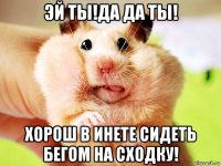 эй ты!да да ты! хорош в инете сидеть бегом на сходку!
