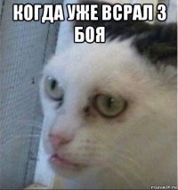 когда уже всрал 3 боя 
