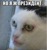 но.я.ж.президент... 