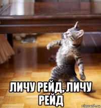 личу рейд, личу рейд