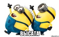  высата