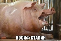  иосиф сталин