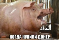 когда купили донер