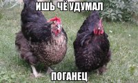 ишь чё удумал поганец