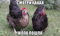 смотри какая жопа пошла