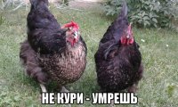  не кури - умрешь