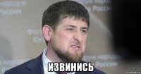  извинись