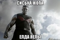 сиська жопа елда яелы