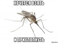 хочется взять и прихлопнуть