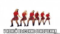  у коней высокие отношения