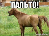 пальто! 