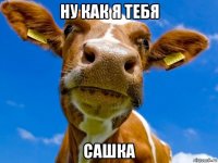 ну как я тебя сашка