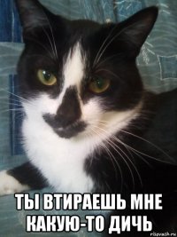  ты втираешь мне какую-то дичь