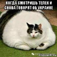 когда смотришь телек и снова говорят об украине 