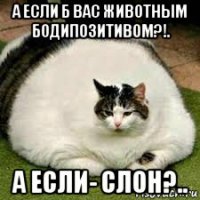 а если б вас животным бодипозитивом?!. а если- слон?..