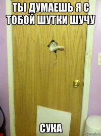 ты думаешь я с тобой шутки шучу сука
