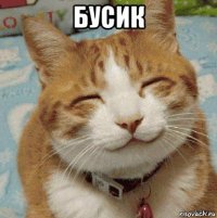 бусик 