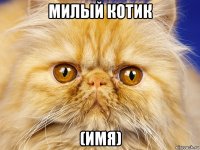 милый котик (имя)