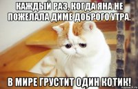 каждый раз, когда яна не пожелала диме доброго утра. в мире грустит один котик!