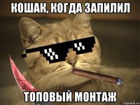 кошак, когда запилил топовый монтаж