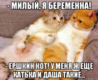 - милый, я беременна! - ершкин кот! у меня ж еще катька и даша такие...